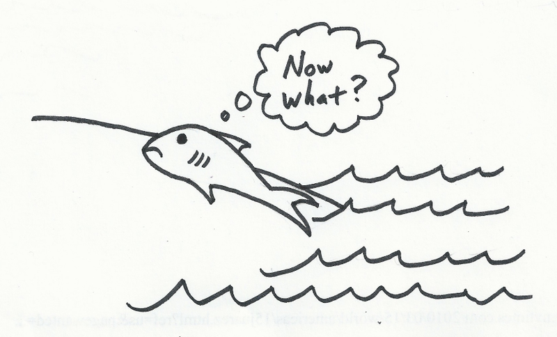 Illustration for article titled Gravity : random thoughts, only one cat picture
